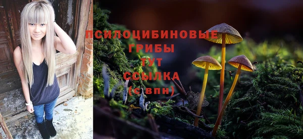 Альфа ПВП Алексин