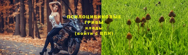mix Алексеевка