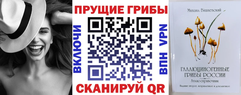 OMG как зайти  нарко площадка состав  Галлюциногенные грибы GOLDEN TEACHER  Алексеевка 