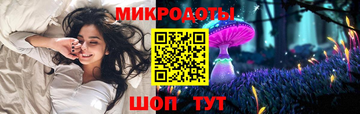 Псилоцибиновые грибы Psilocybe Алексеевка