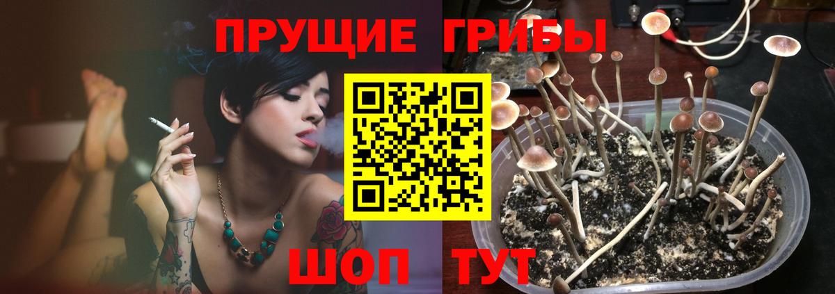 Галлюциногенные грибы ЛСД  Псилоцибиновые грибы ЛСД  Алексеевка  Вход с VPN 